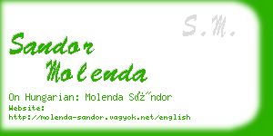 sandor molenda business card